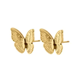 Butterfly Studs