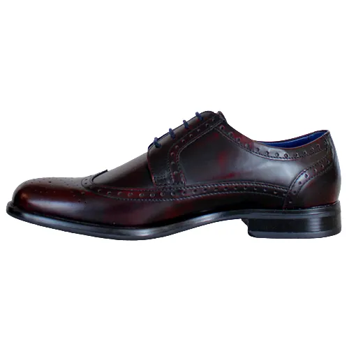 Dubarry Brogues - Dickson - Burgundy