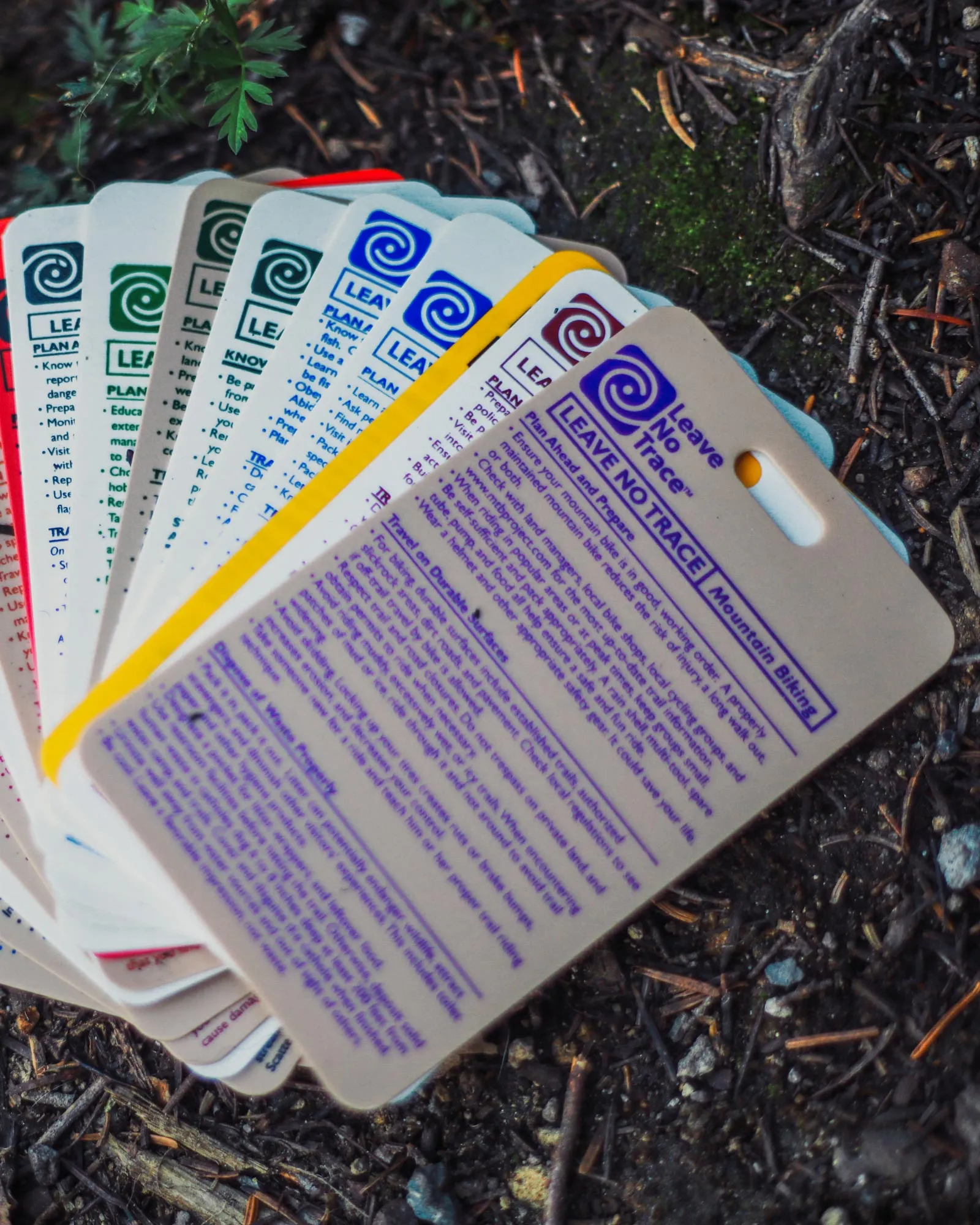 Leave No Trace x Parks Project Outdoor Ethics Cards