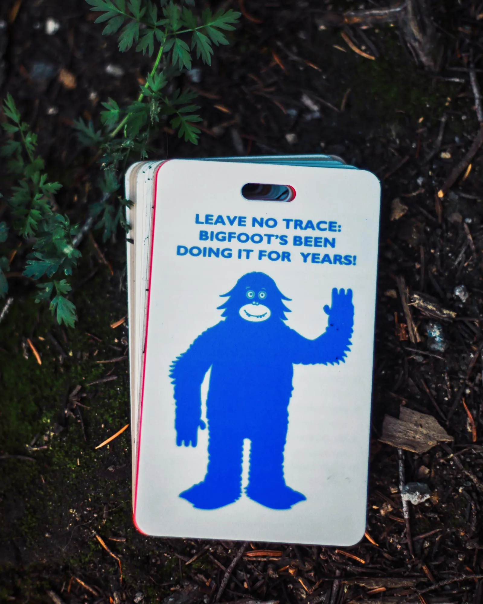 Leave No Trace x Parks Project Outdoor Ethics Cards