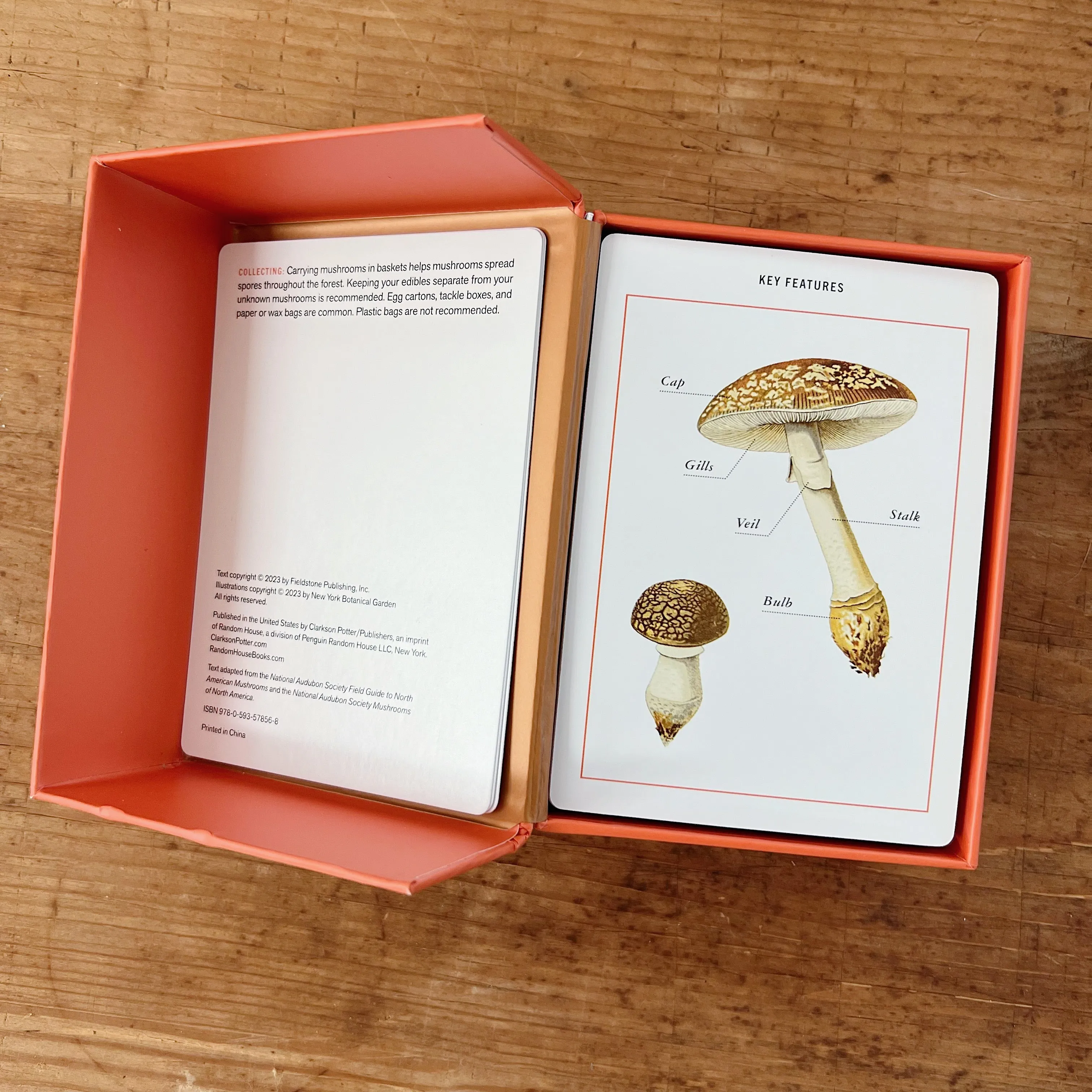 New York Botanical Garden Mushroom Identification Flashcards